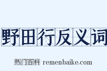 野田行反义词是什么意思的图片
